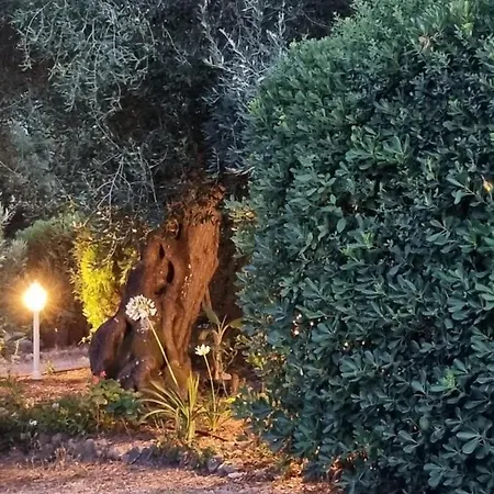 Cozy Corfu 5 Minutes To Aqualand