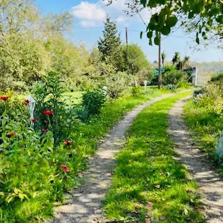 펜션 Cozy Corfu 5 Minutes To Aqualand